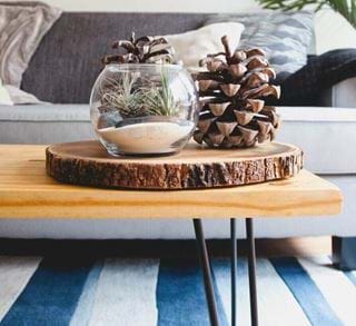 Sleek Coffee Table
