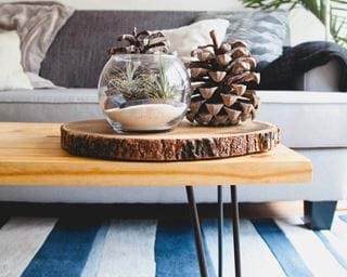 Sleek Coffee Table